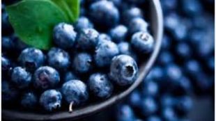 foods for hair growth - blueberries